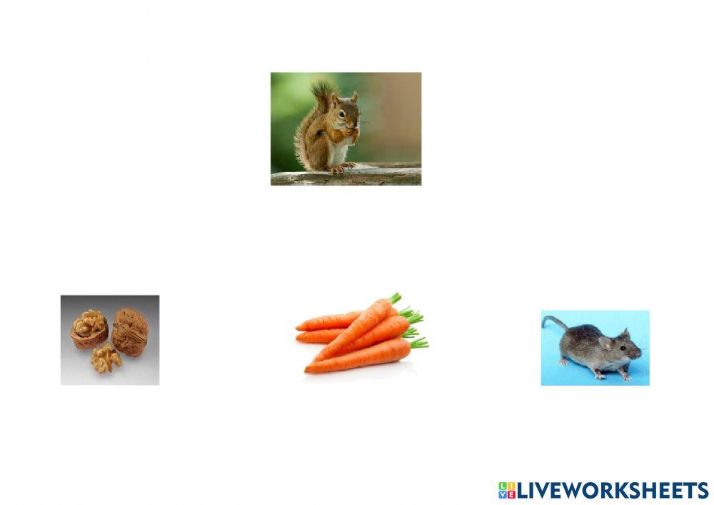 Animales del otoño comida