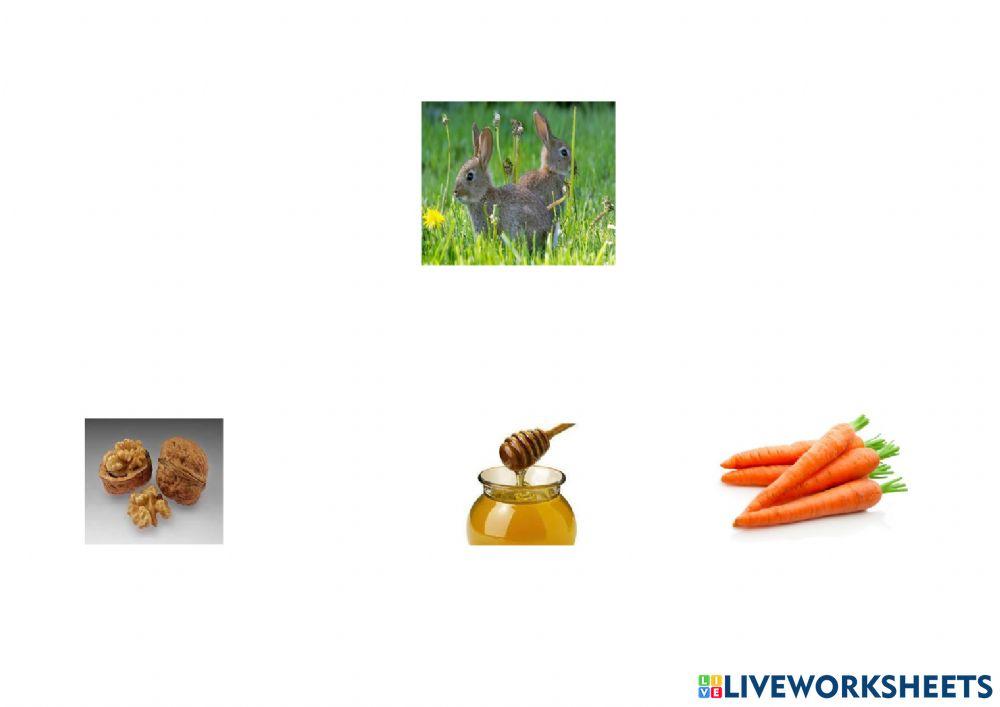 Animales del otoño comida