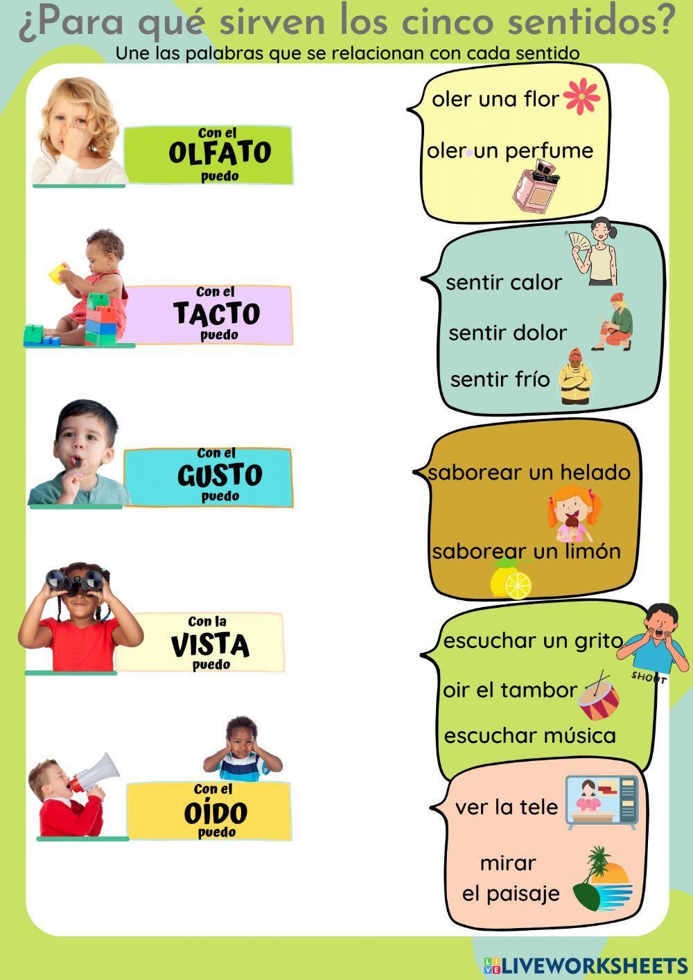 ¿Para qué sirven los cinco sentidos?