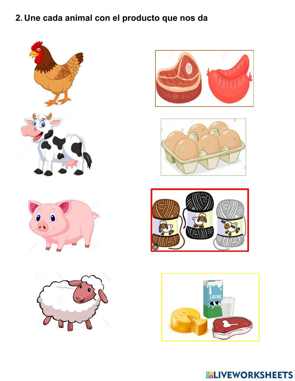 Animales domésticos y salvajes