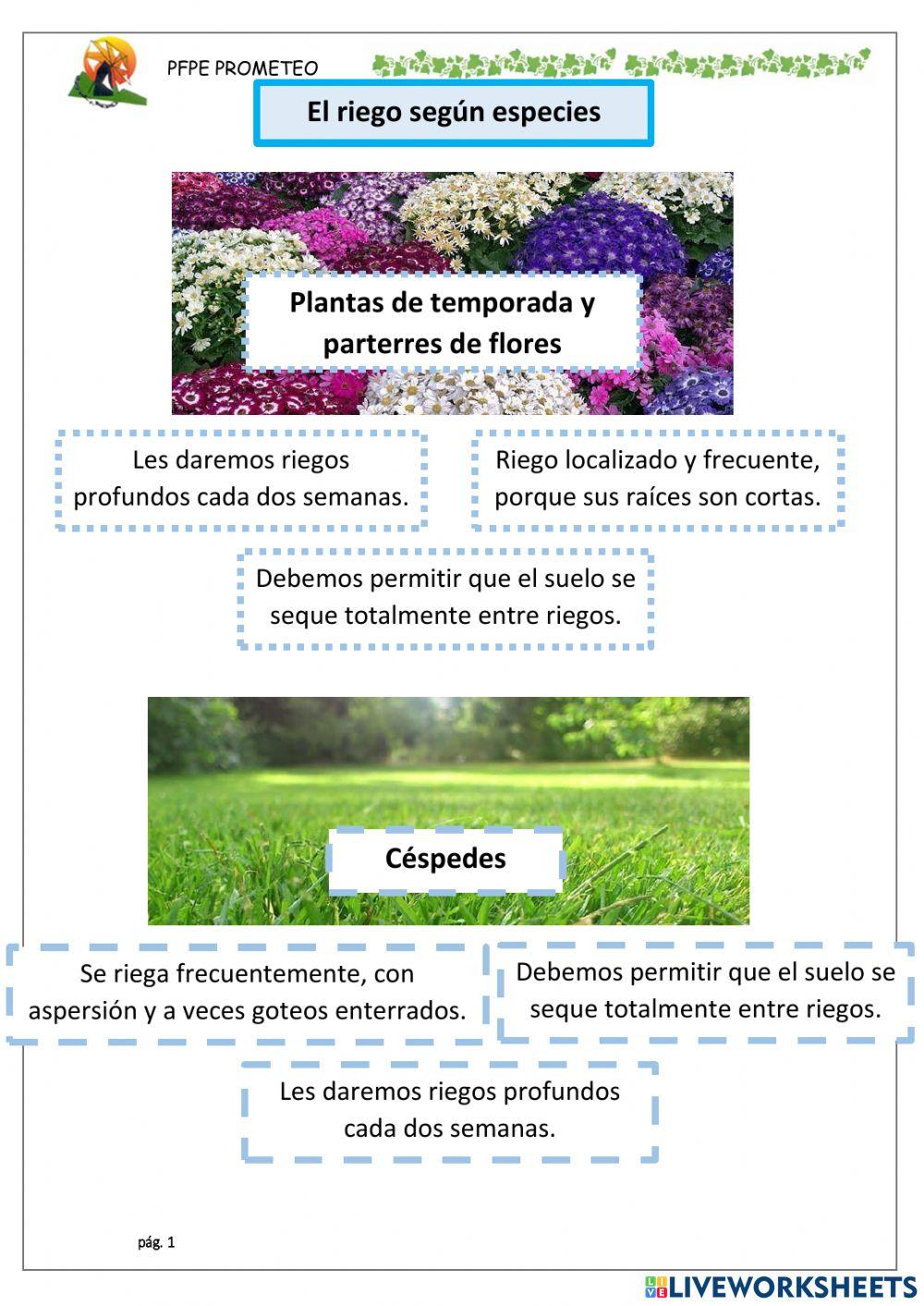 Riego según especies