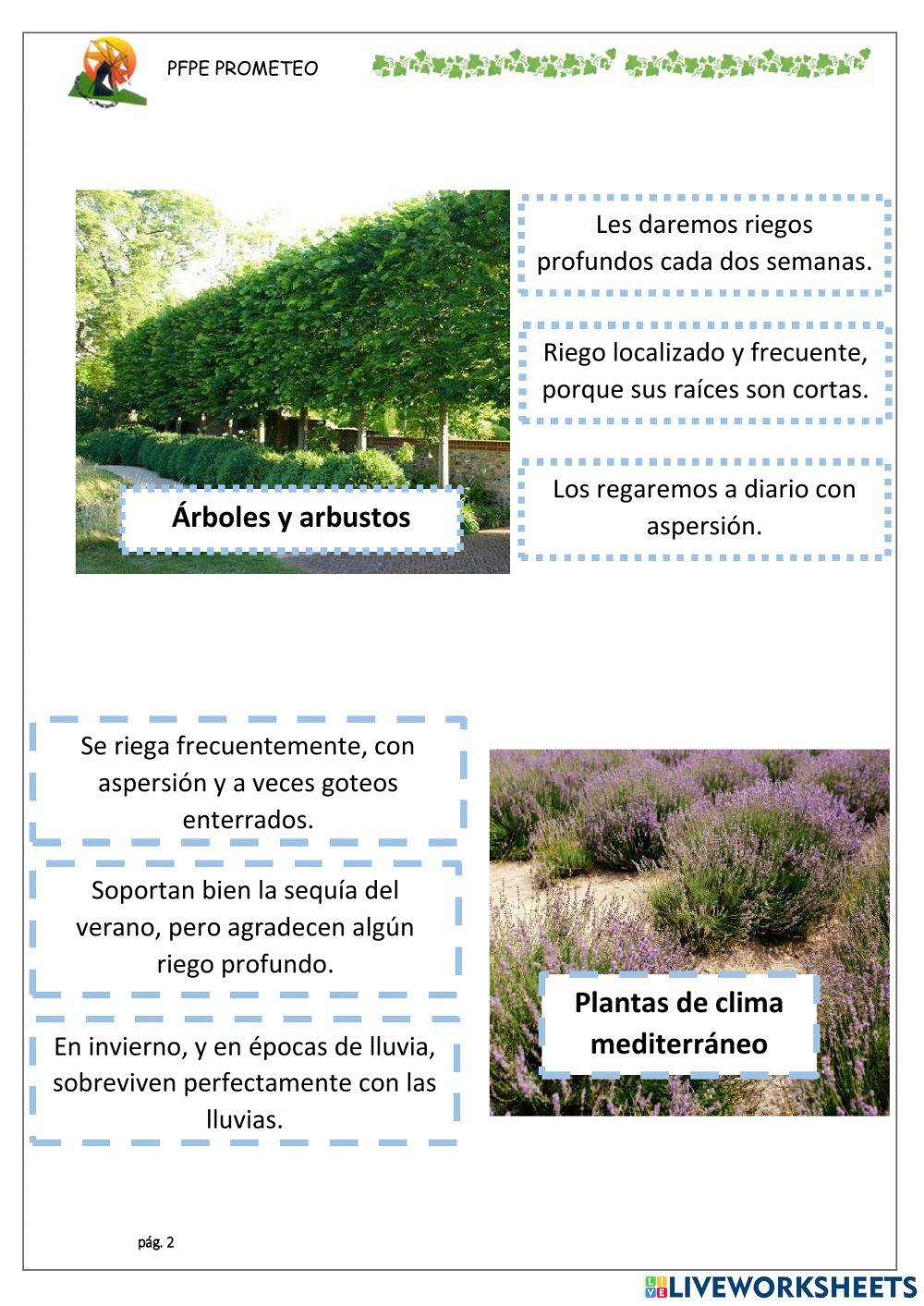 Riego según especies