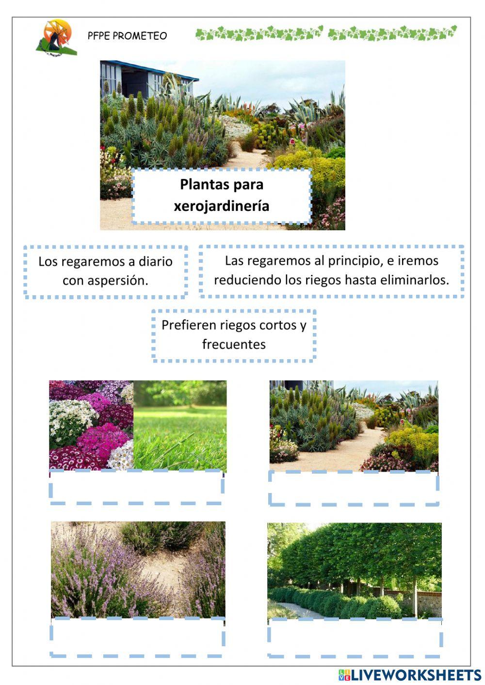 Riego según especies