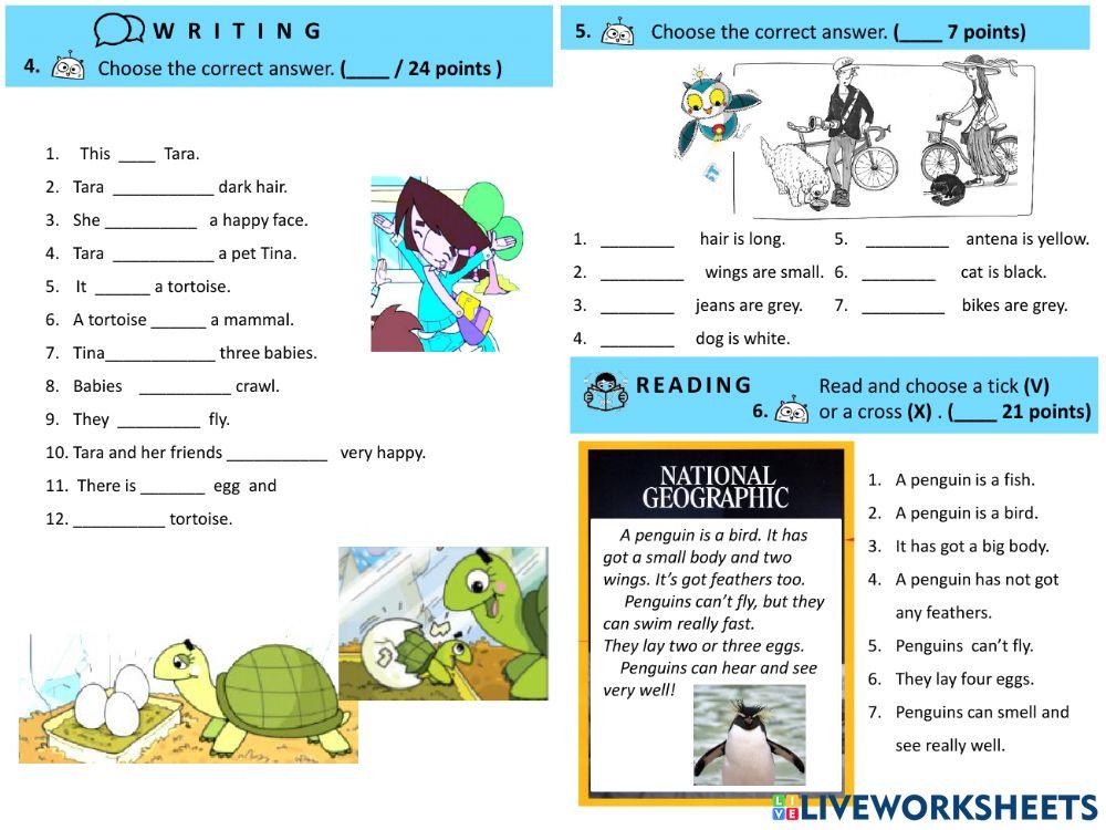 Modular test 2. iWonder 2.