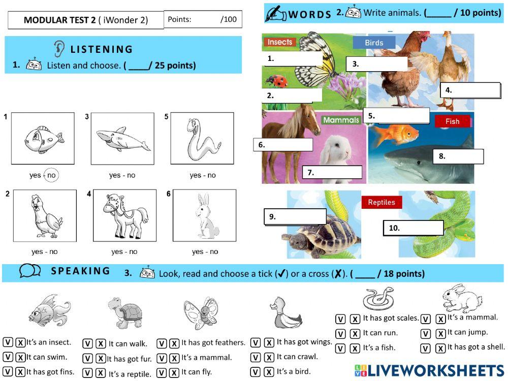 Modular test 2. iWonder 2.Adapted