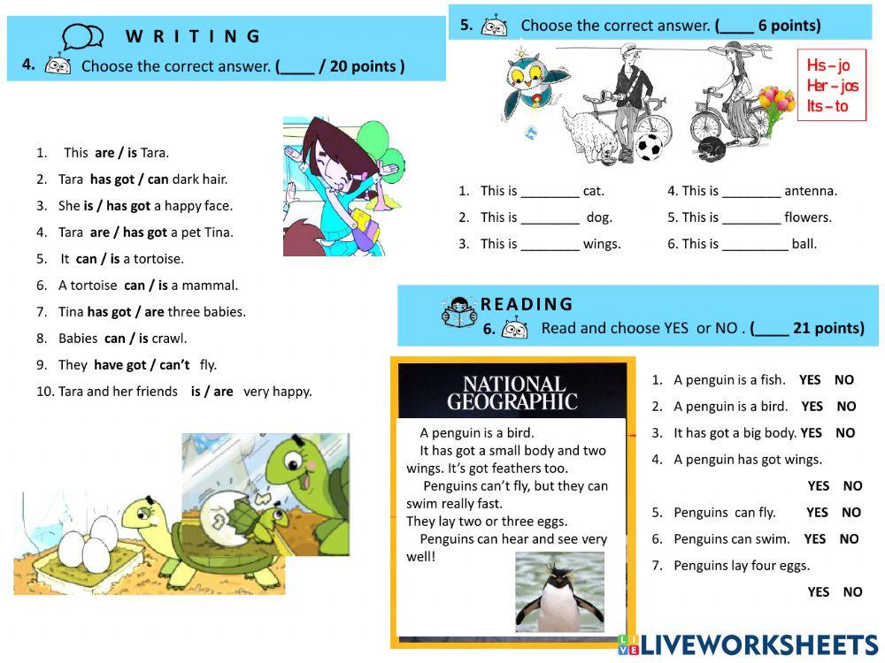 Modular test 2. iWonder 2.Adapted