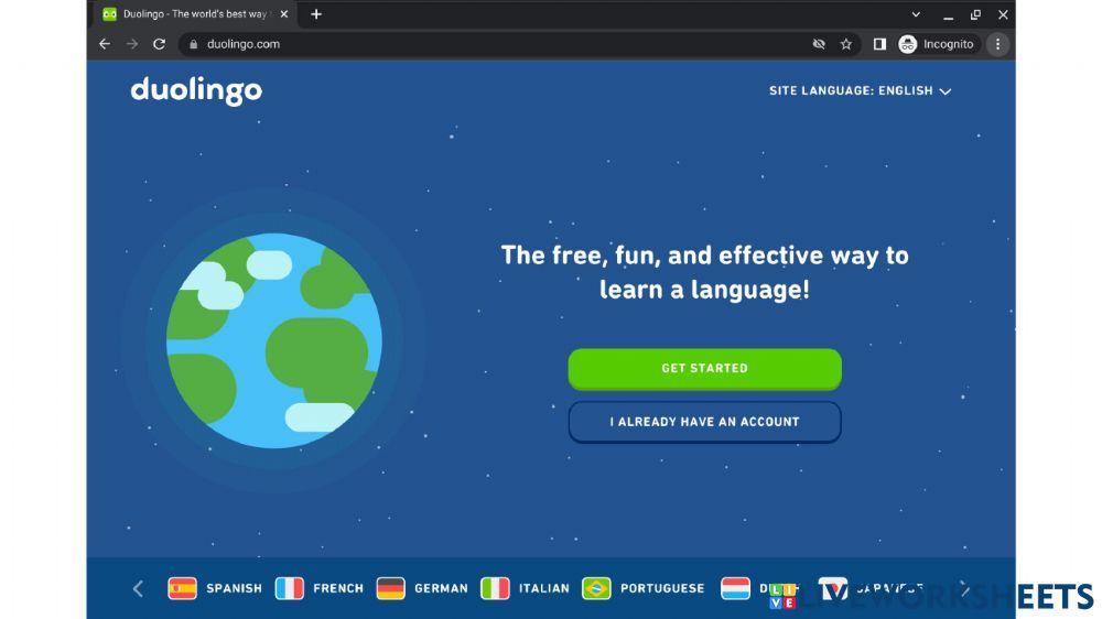 Answer questions about DuoLingo