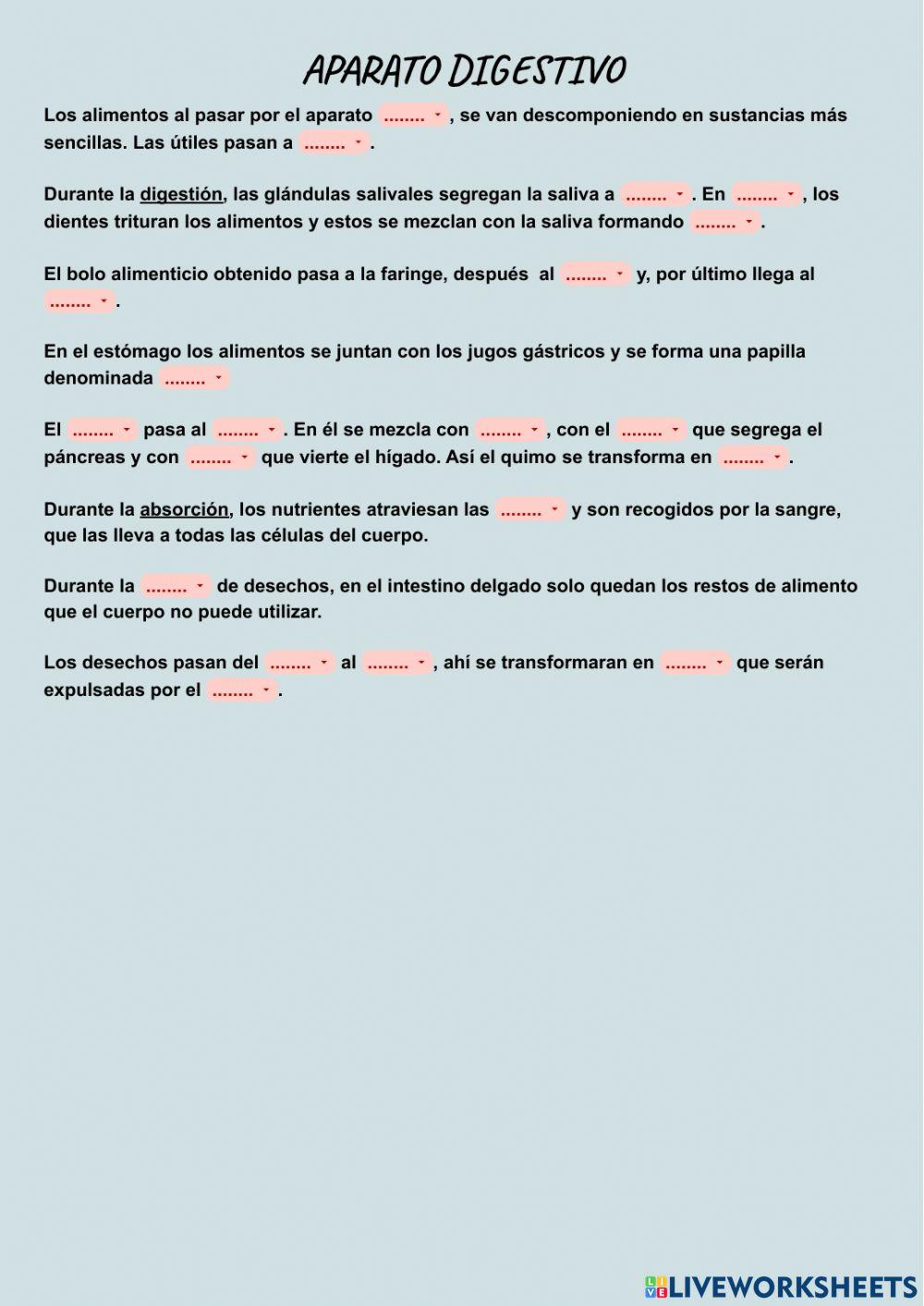 El aparato digestivo