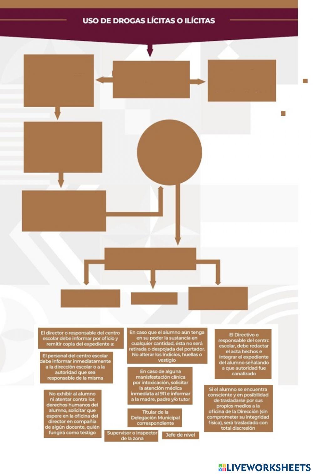 Protocolo de seguridad escolar
