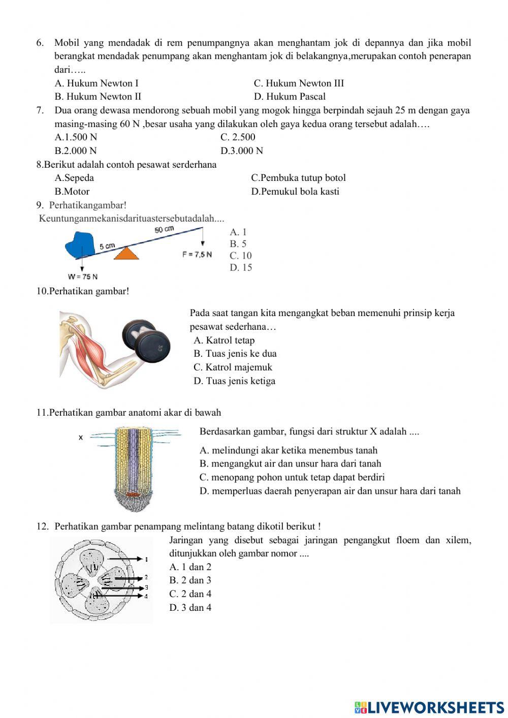 Soal ipakelas 8 semester 1
