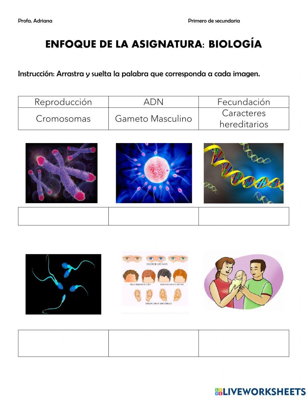 Enfoque asignatura. Biología