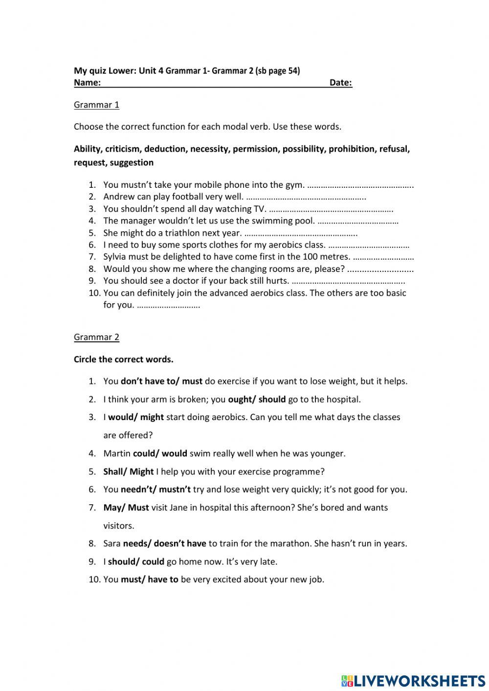 Unit 4 Grammar Lower