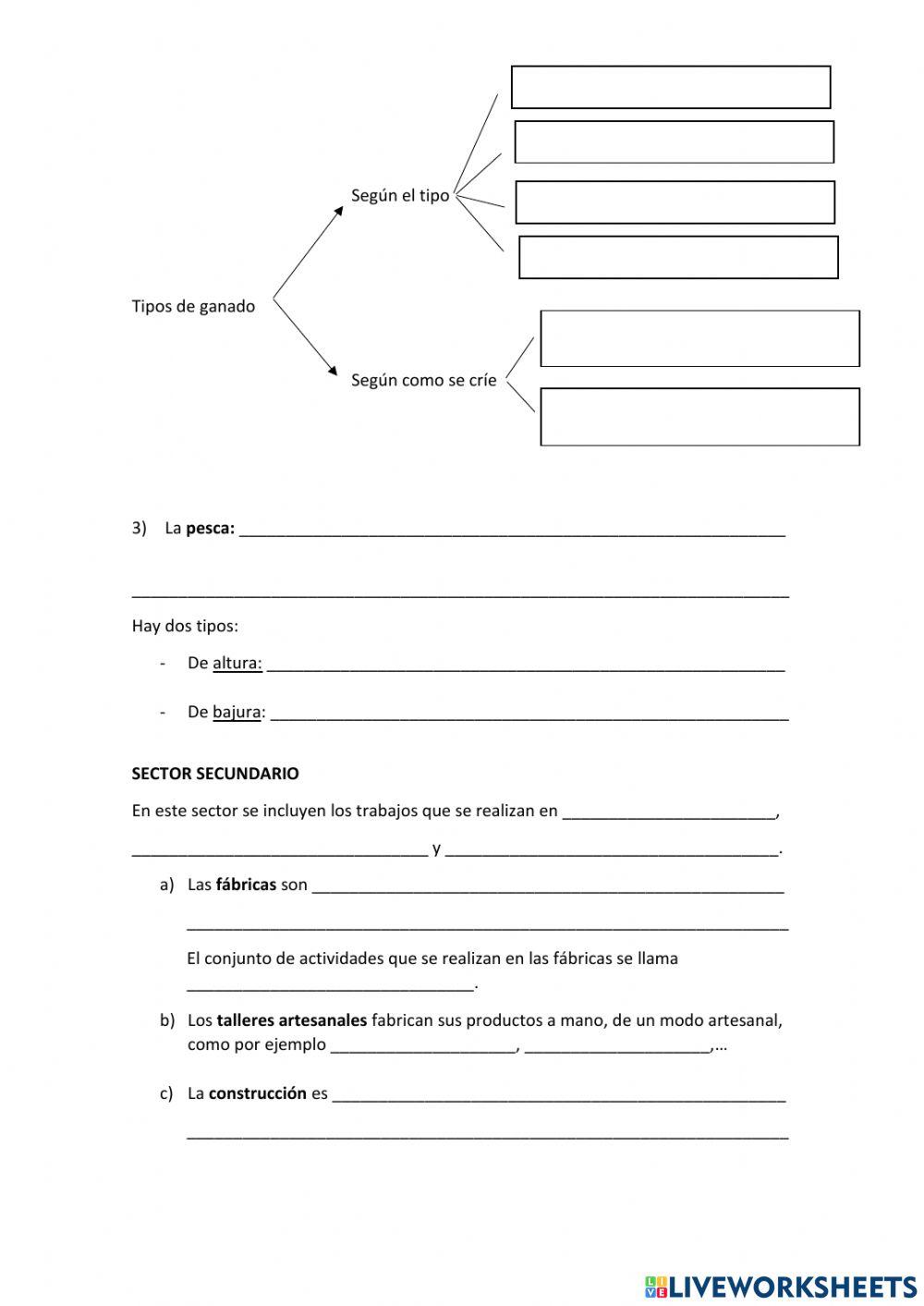 ¿En qué trabajan las personas?