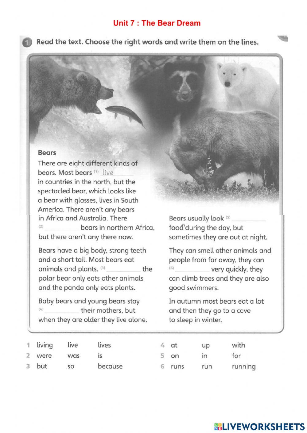 Unit 7: The Bear Dream