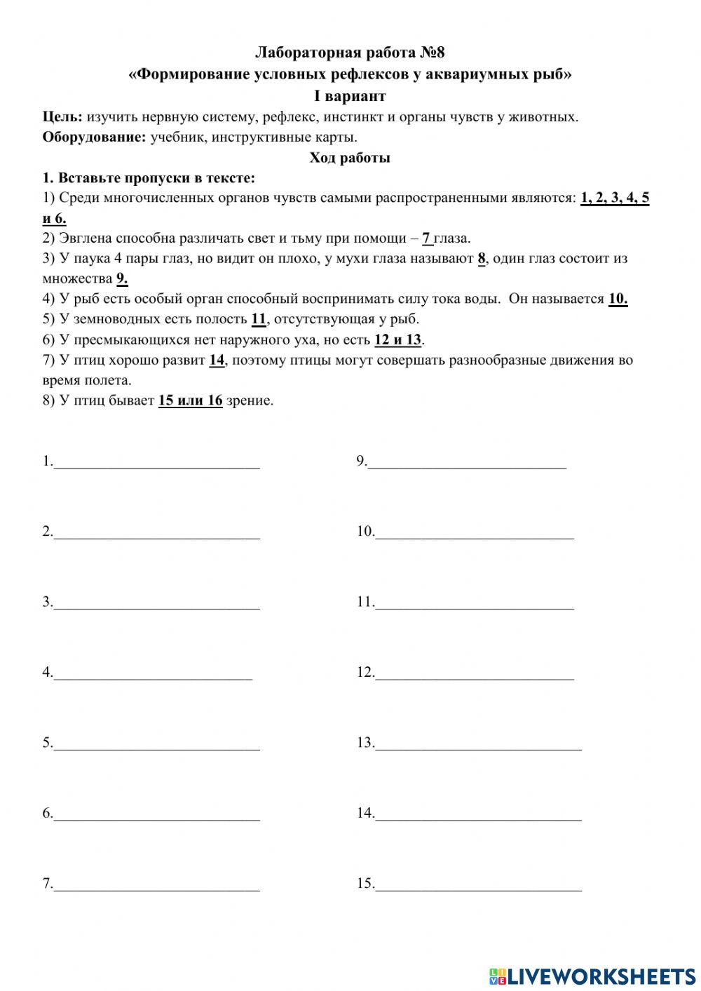 Лабораторная работа №8