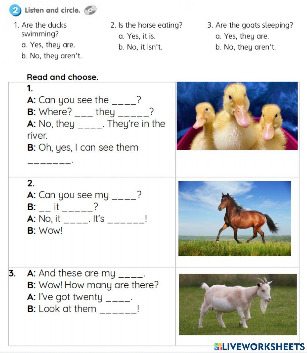 Smart Junior 3. WB p.21 ex.2