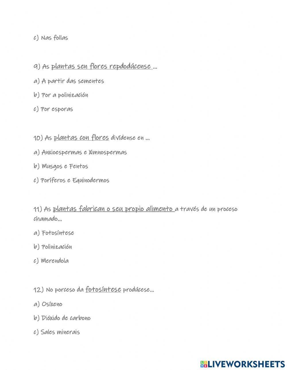 Naturais: seres vivos e intertes. Animais invertebrados