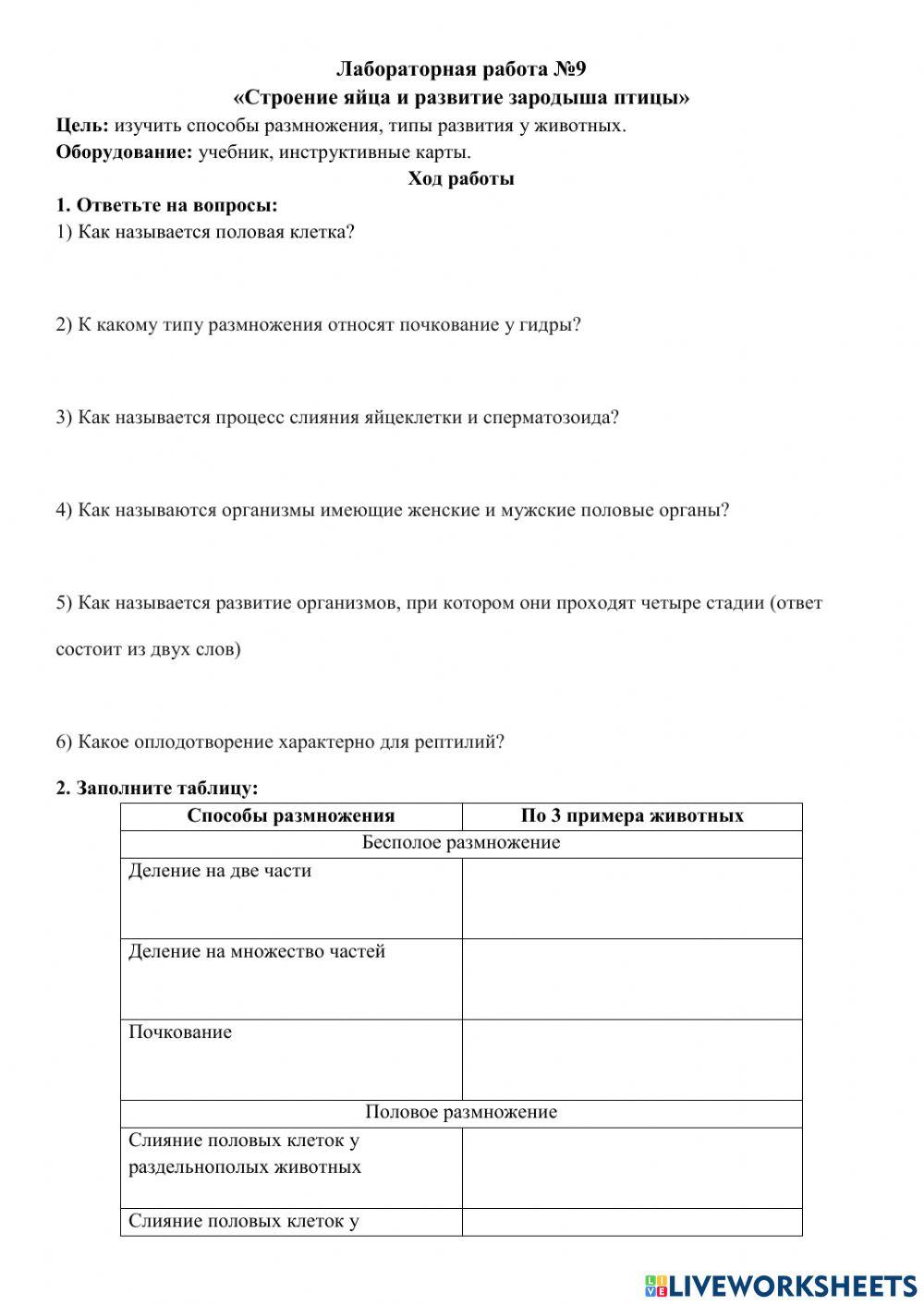 Лабораторная работа №9