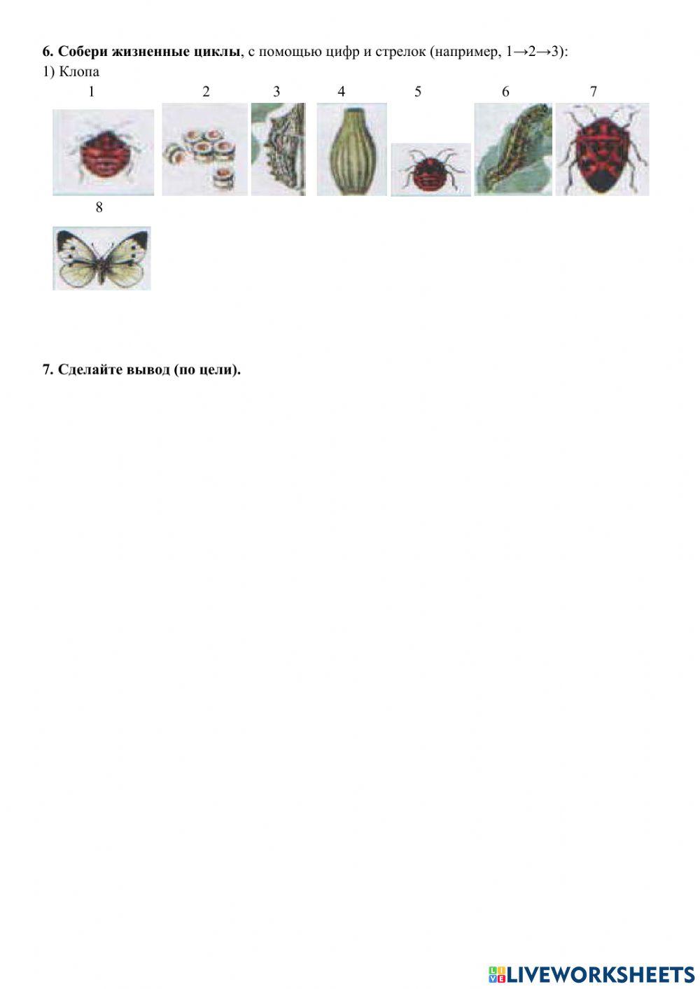 Лабораторная работа №9