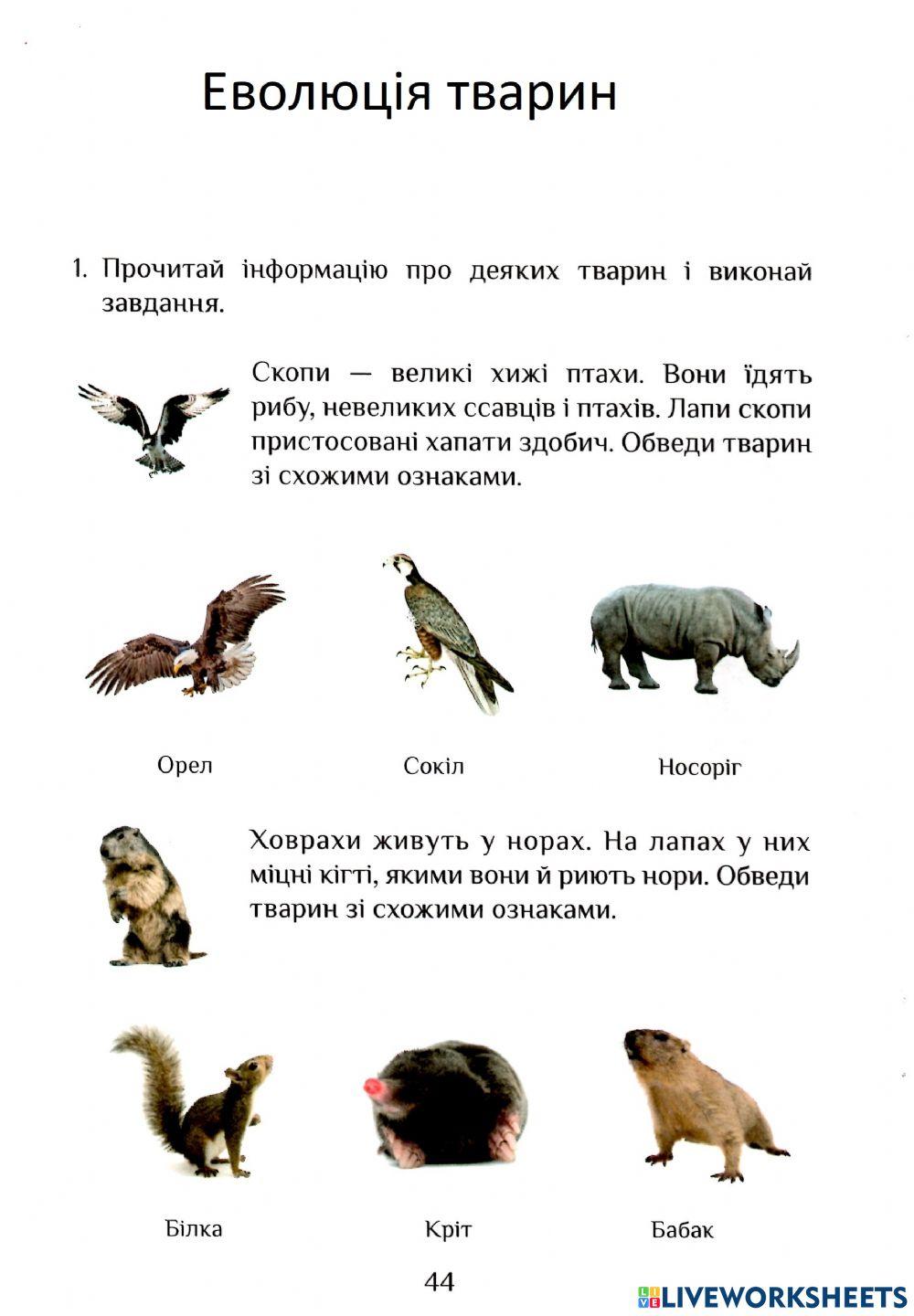 Ядс робочий зошит с.44