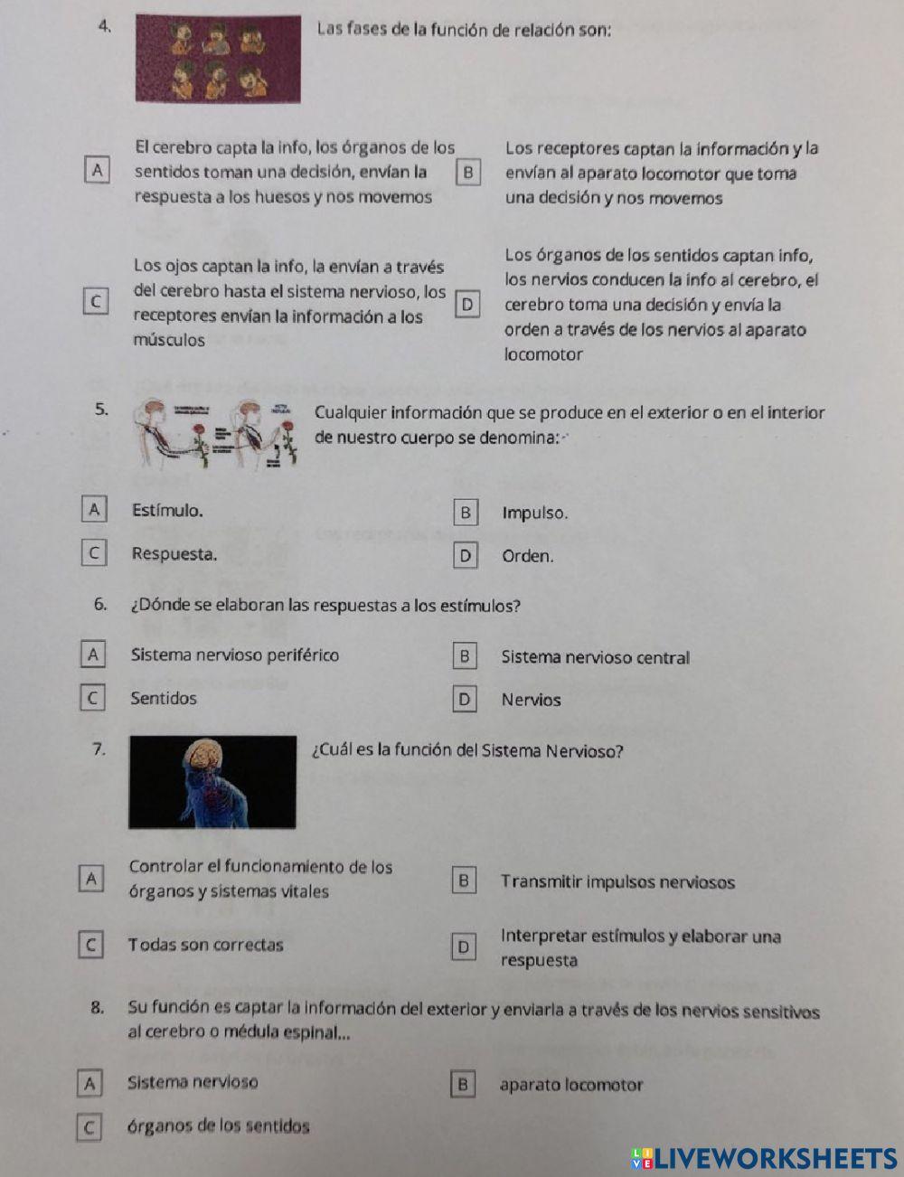 LA FUNCION DE RELACIÓN: EL SISTEMA NERVIOSO