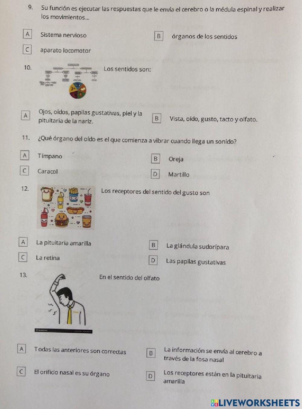 LA FUNCION DE RELACIÓN: EL SISTEMA NERVIOSO