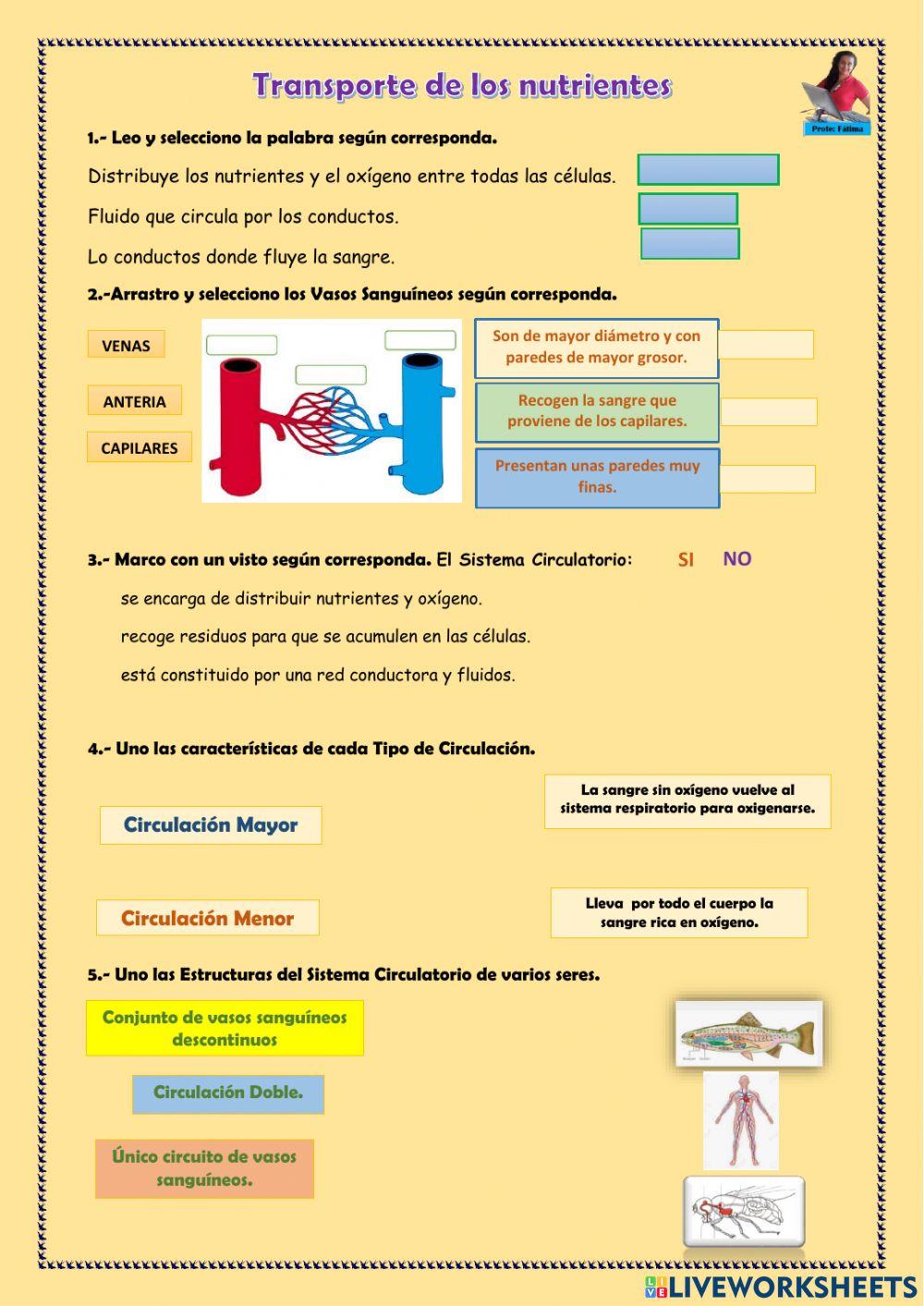 Transporte de los Nutrientes