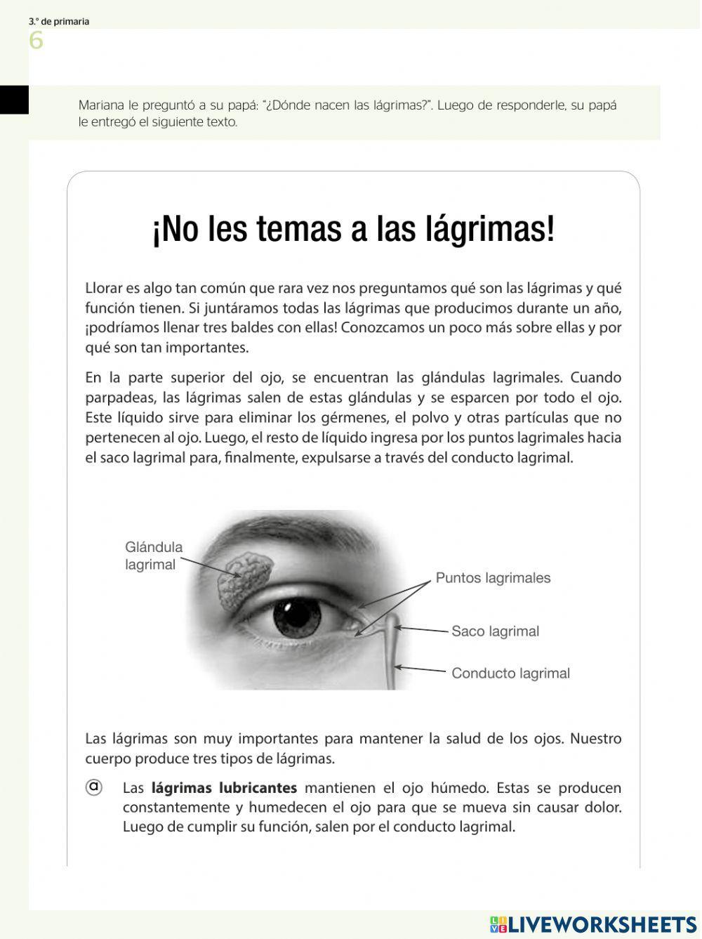 Prueba muestral segudo grado primaria