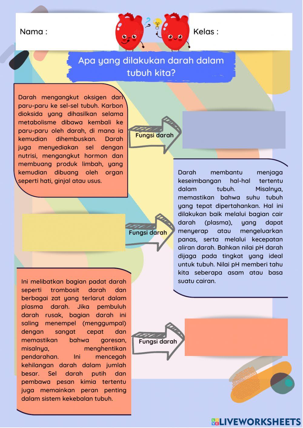 Sistem peredaran darah