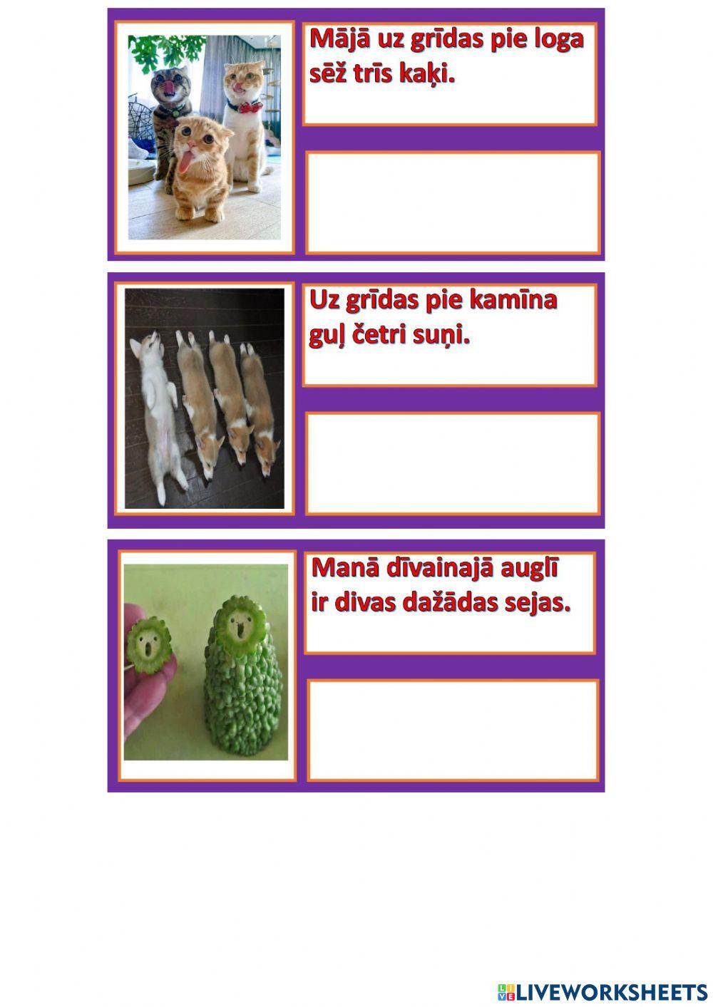 Sentence translation LV-ENG