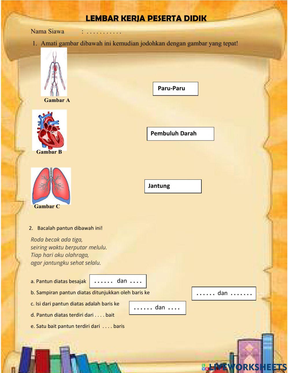 Alat peredaran darah manusia