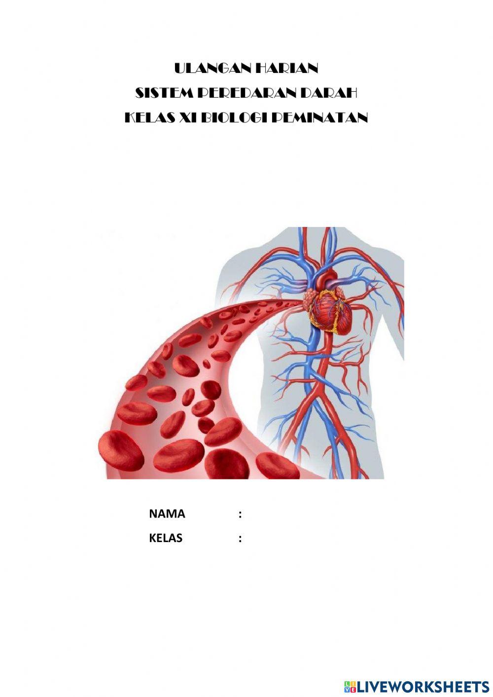 Sistem peredaran darah