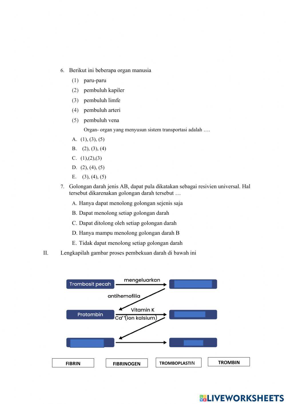 Sistem peredaran darah