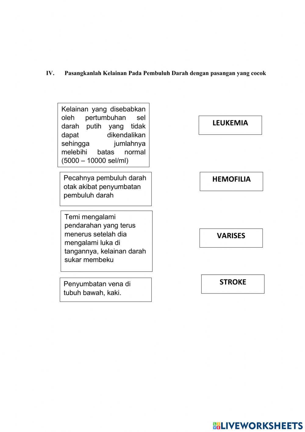 Sistem peredaran darah