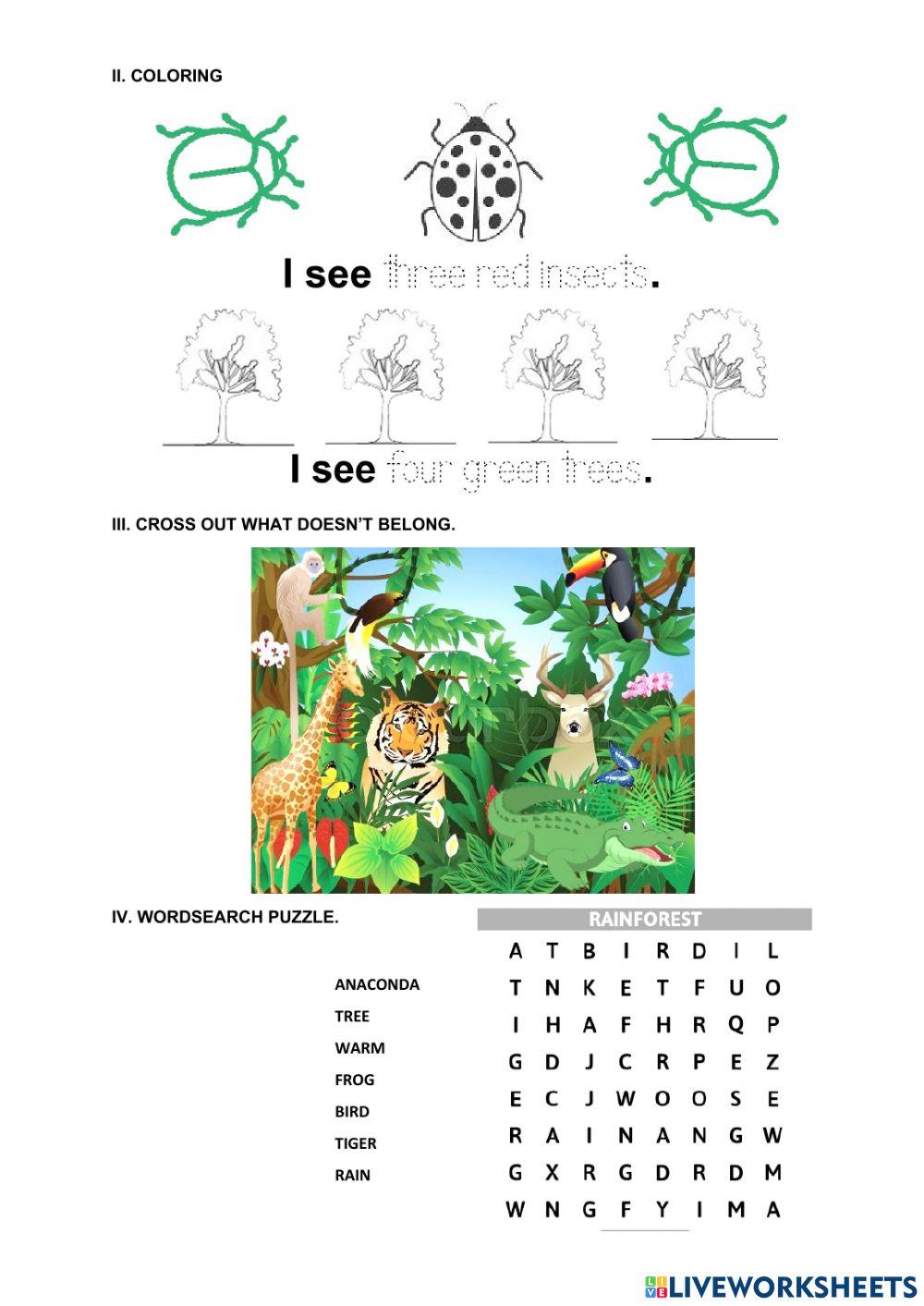 Lesson 9. What's the rainforest?