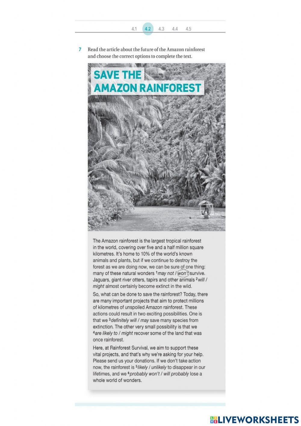 Save the amazon rainforest