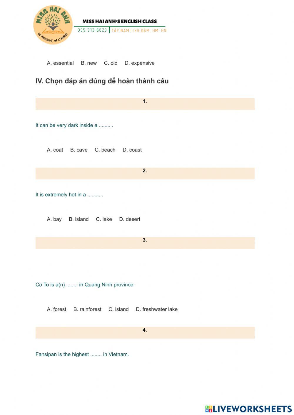 English 6 Unit 5 Vocabulary