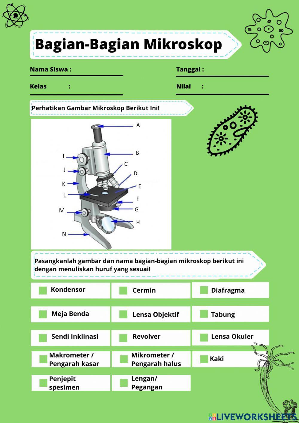 Bagian Bagian Mikroskop