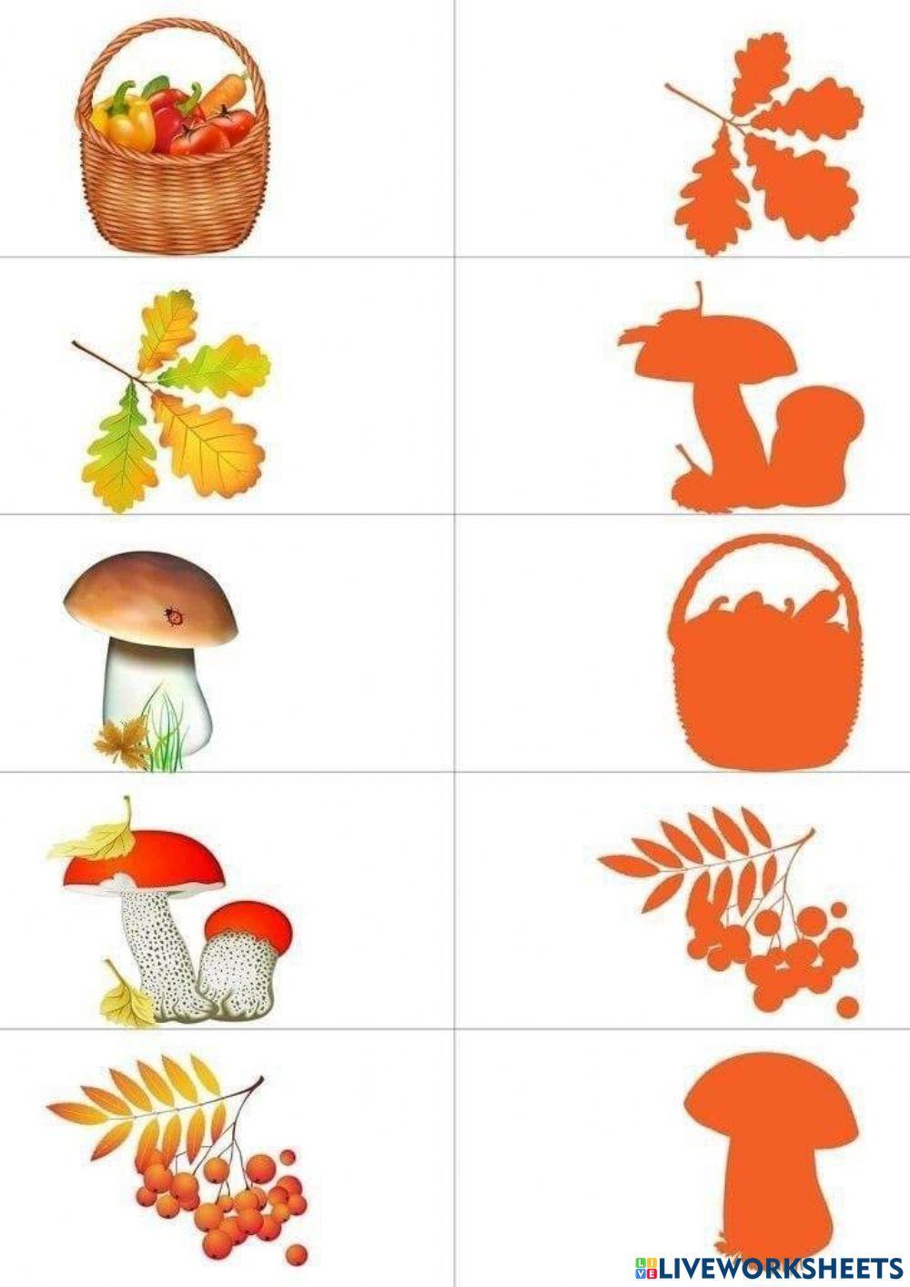 Знайди тінь