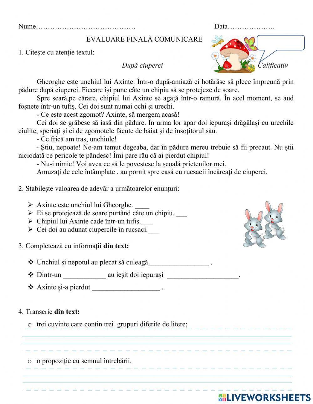 Evaluare finala CLR worksheet | Live Worksheets