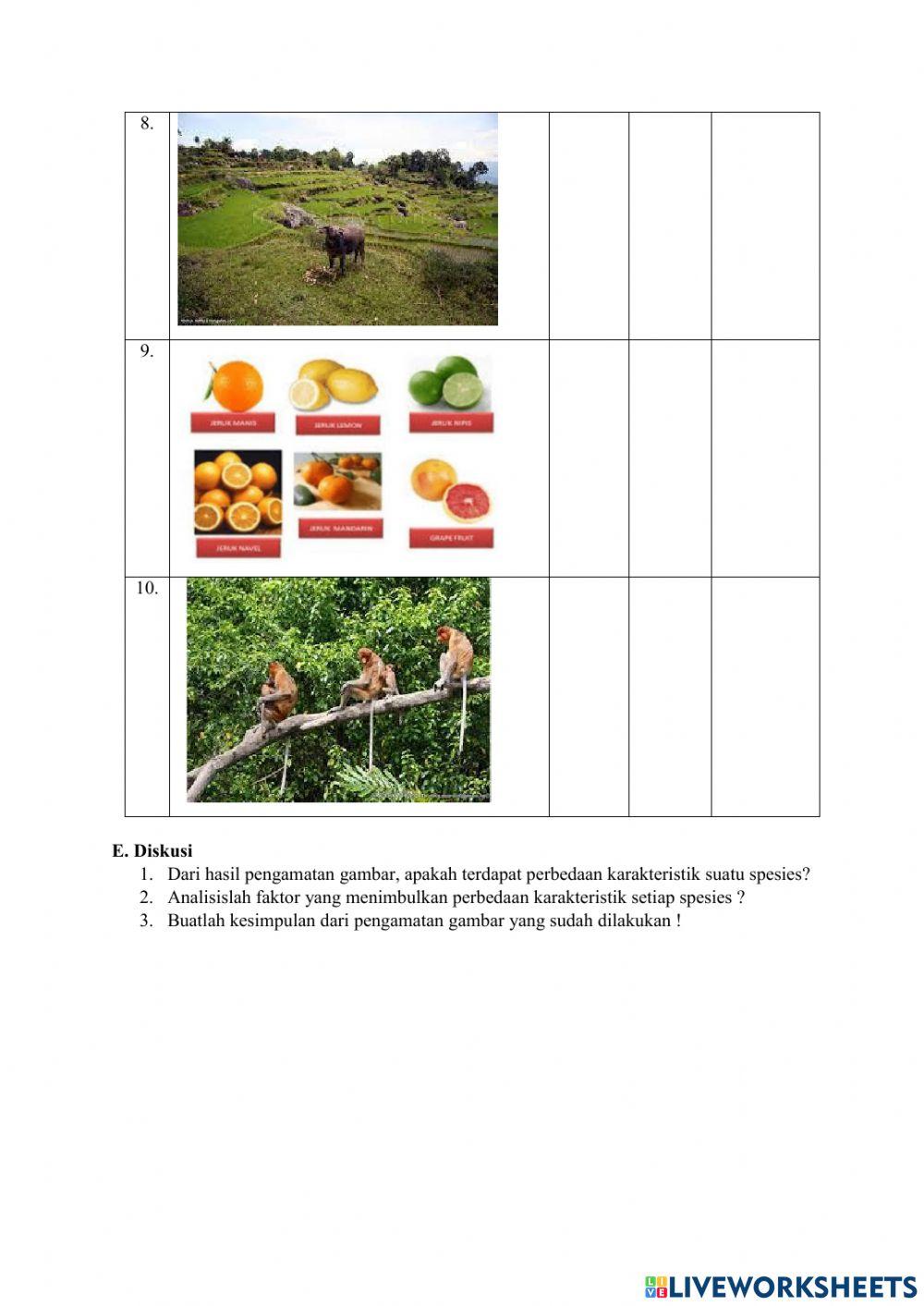 Keanekaragaman hayati