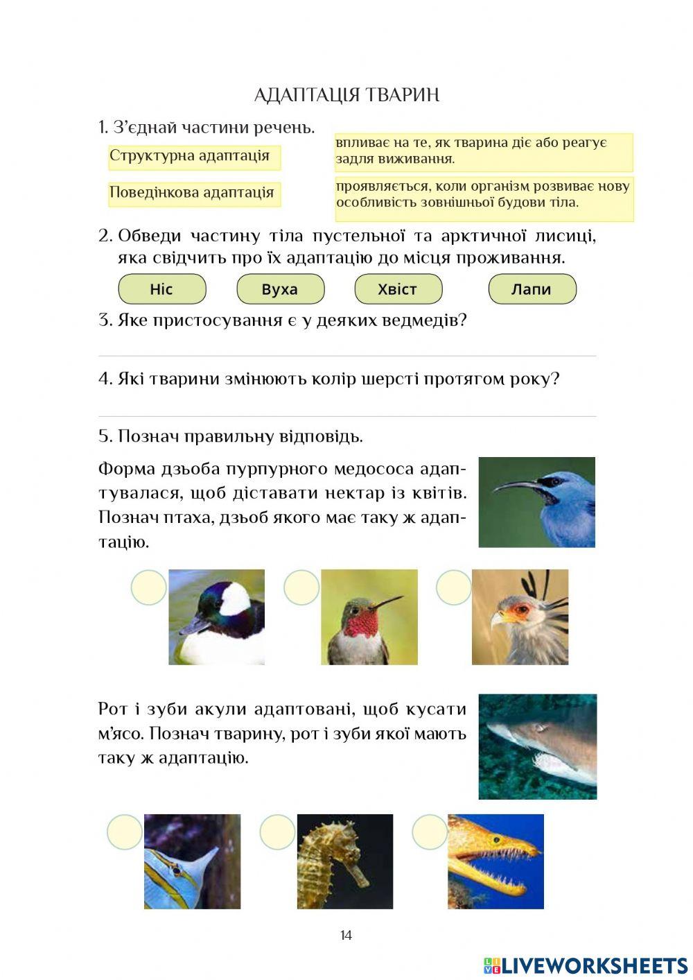 Адаптація тварин
