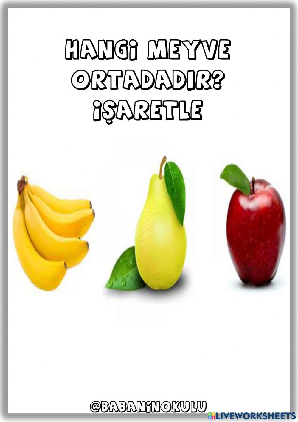 ORTASINDA