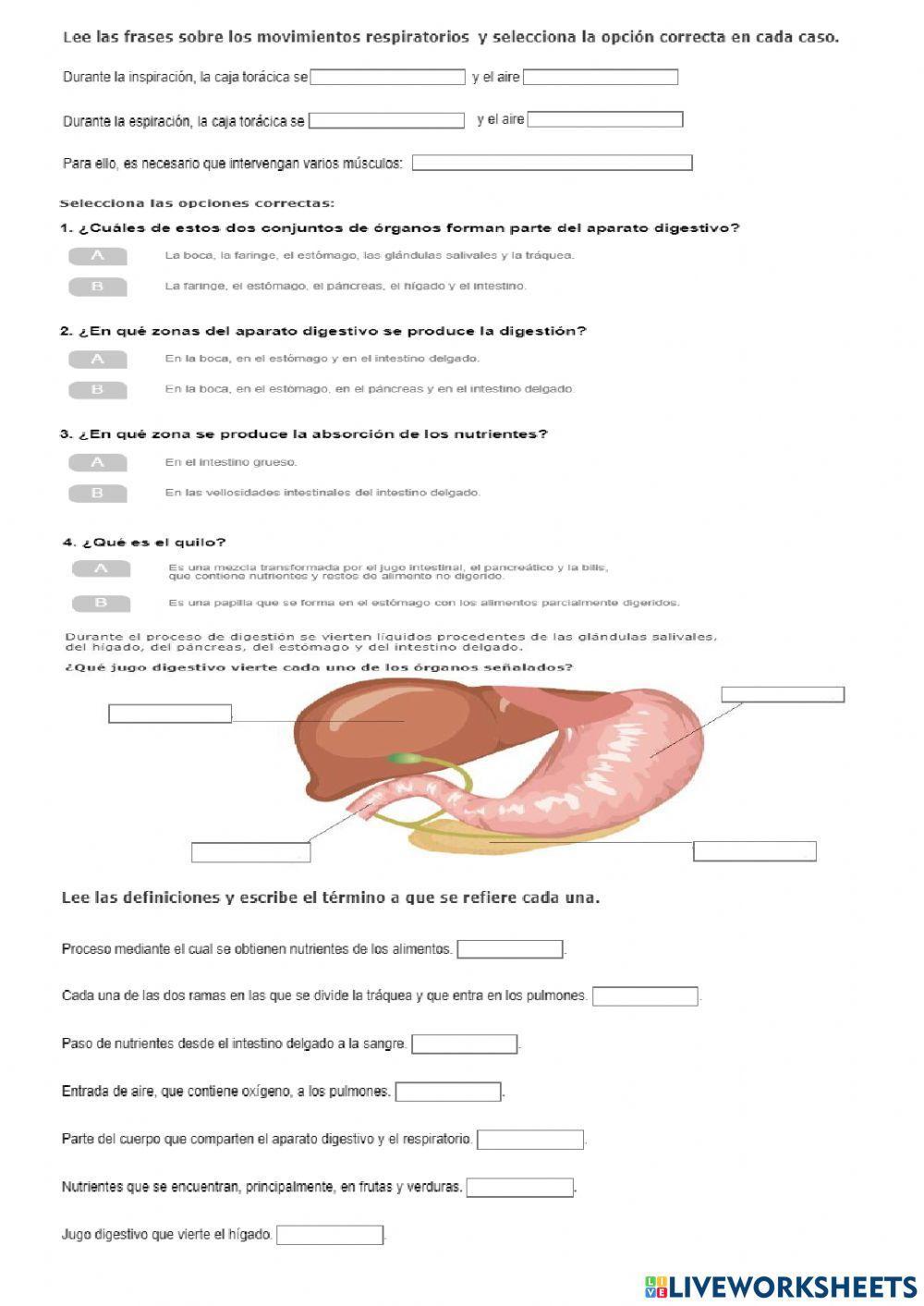 Aparato digestivo y eVcretor T4