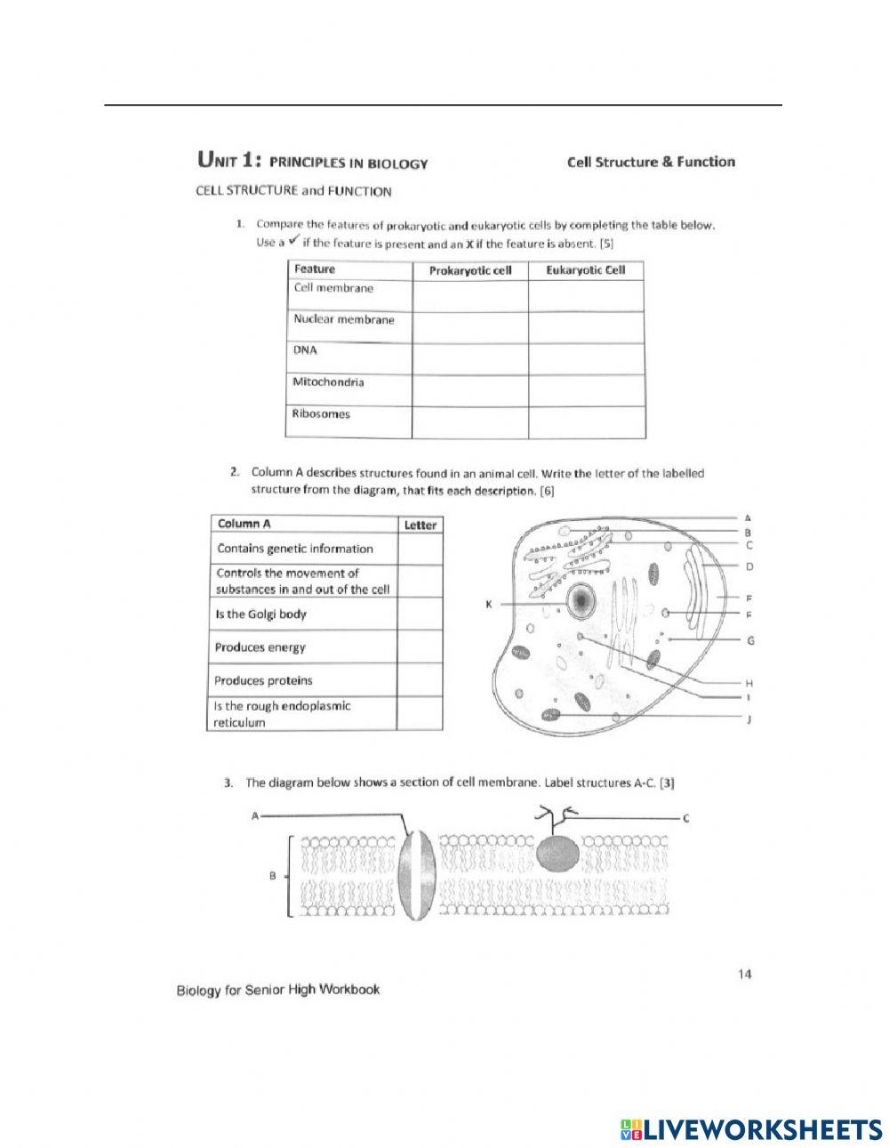 Homework in Diffusion and Osmosis