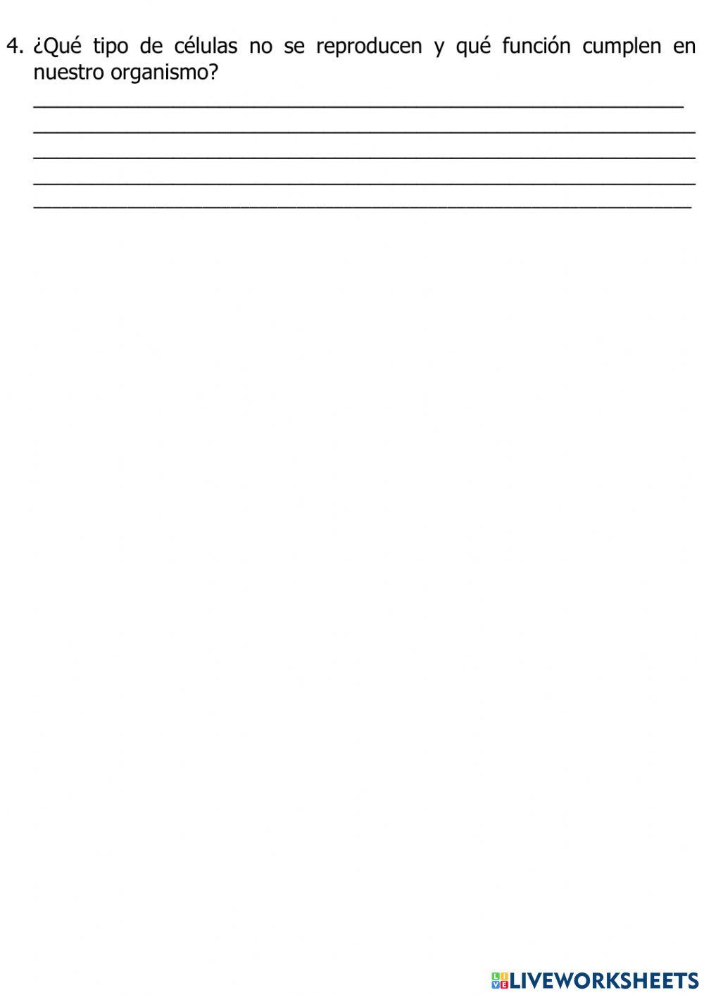 LiveWorksheets 1. Nivel literal parte 1 