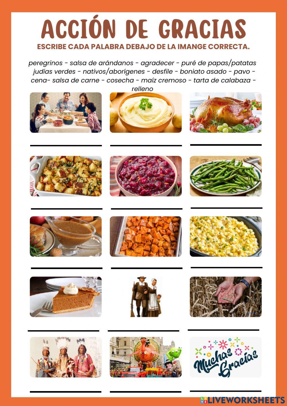 Acción de gracias