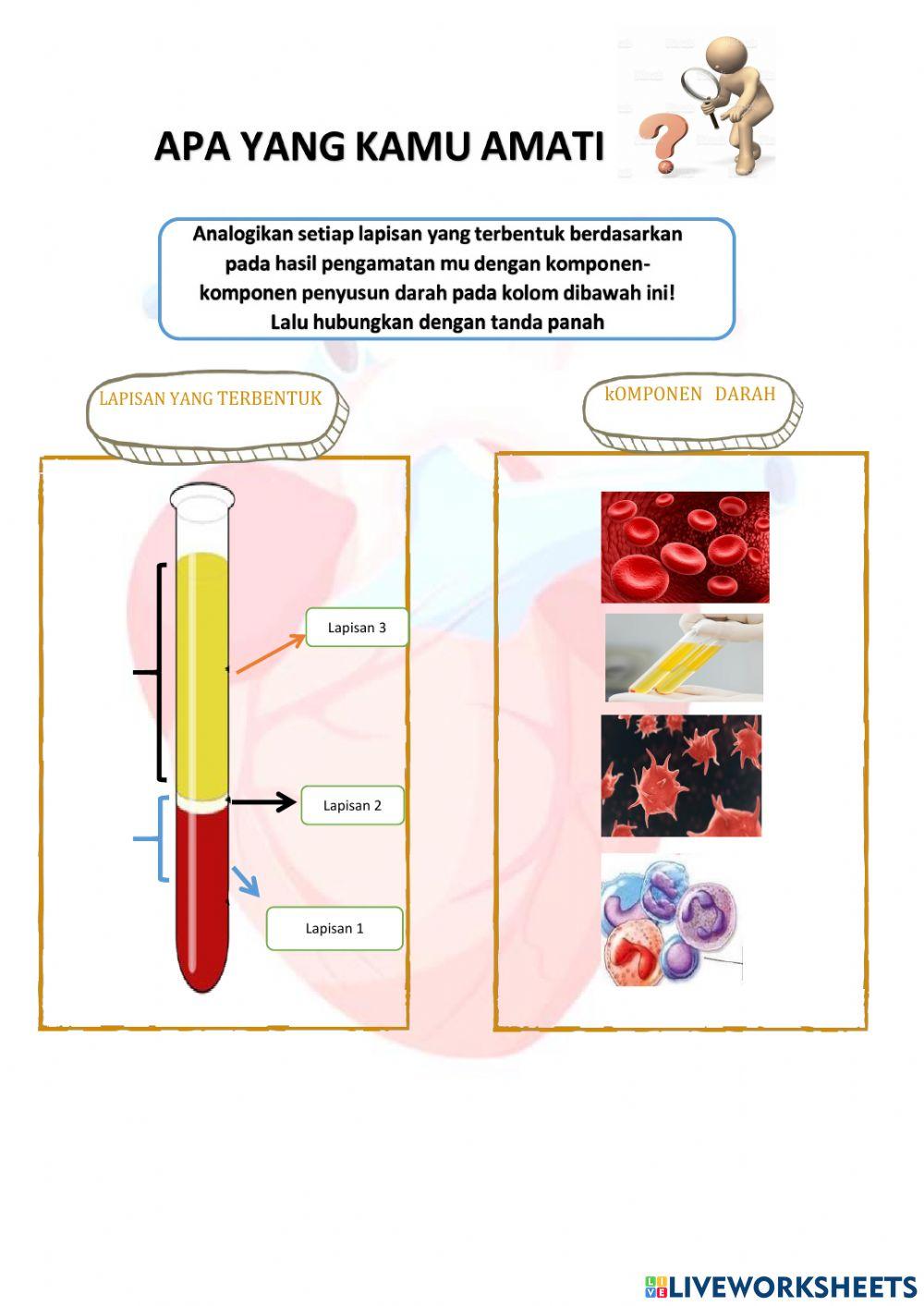 Komponen penyusun darah
