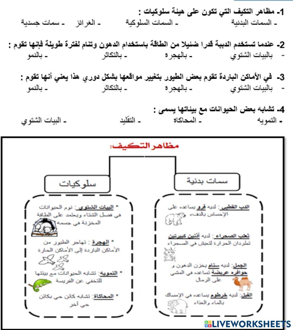 تدريبات درس التكيف