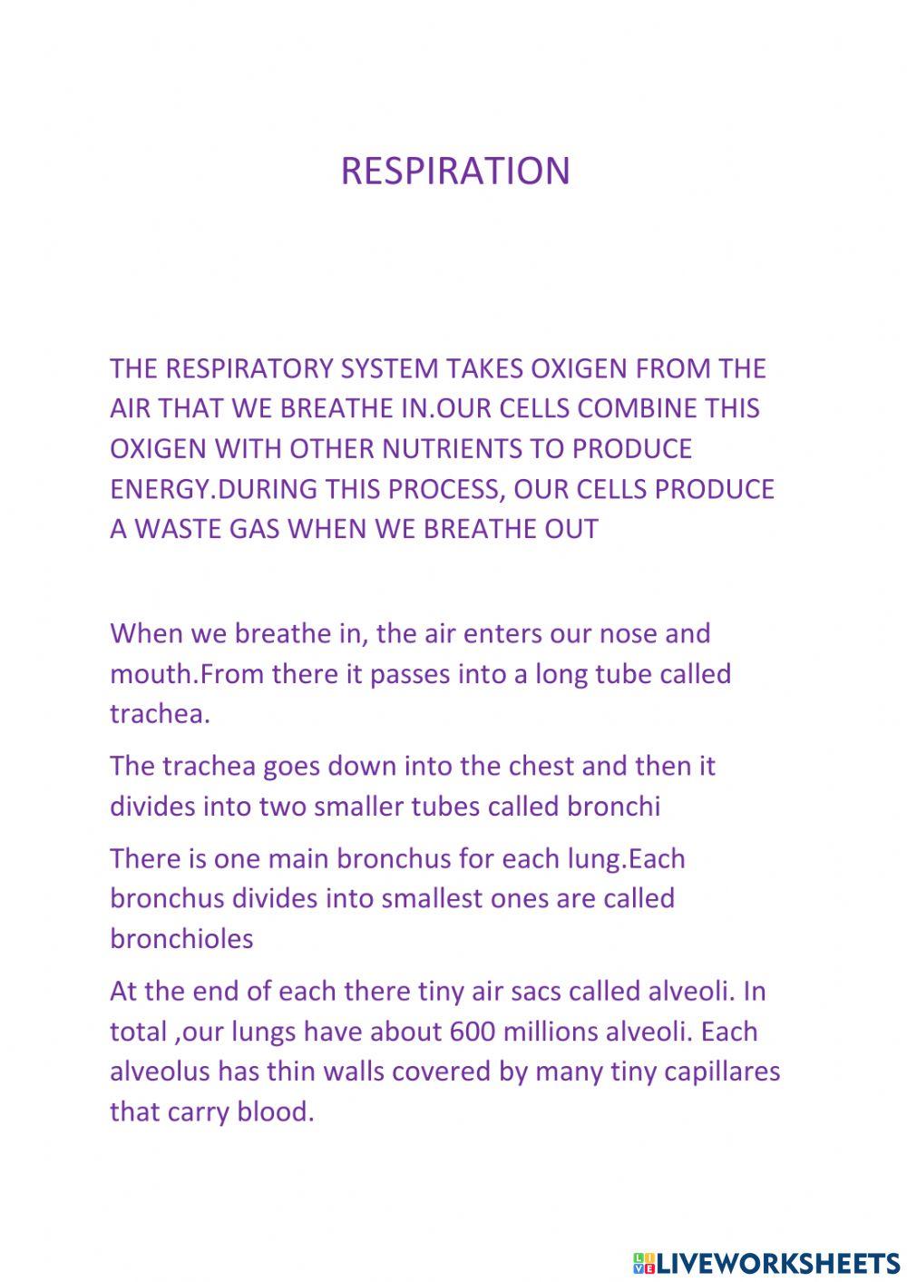 Respiratory system